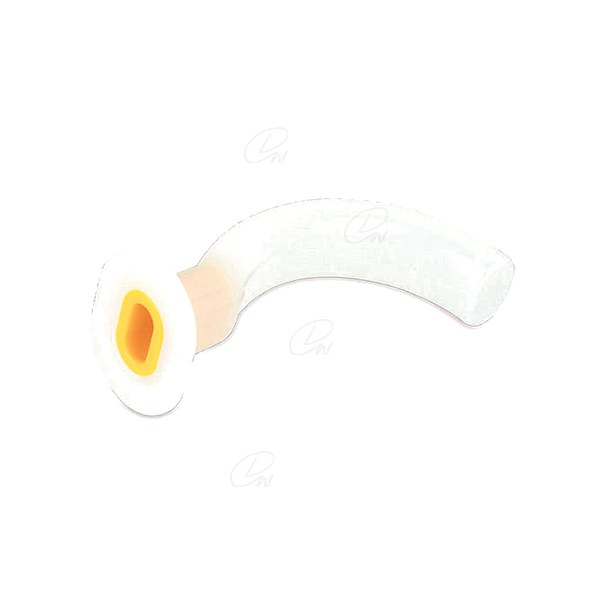 175080